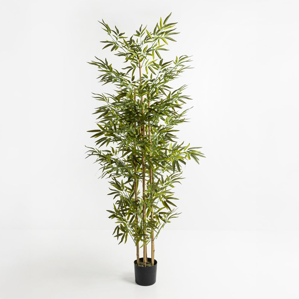 Τεχνητό φυτό Bamboo