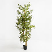 Τεχνητό φυτό Bamboo