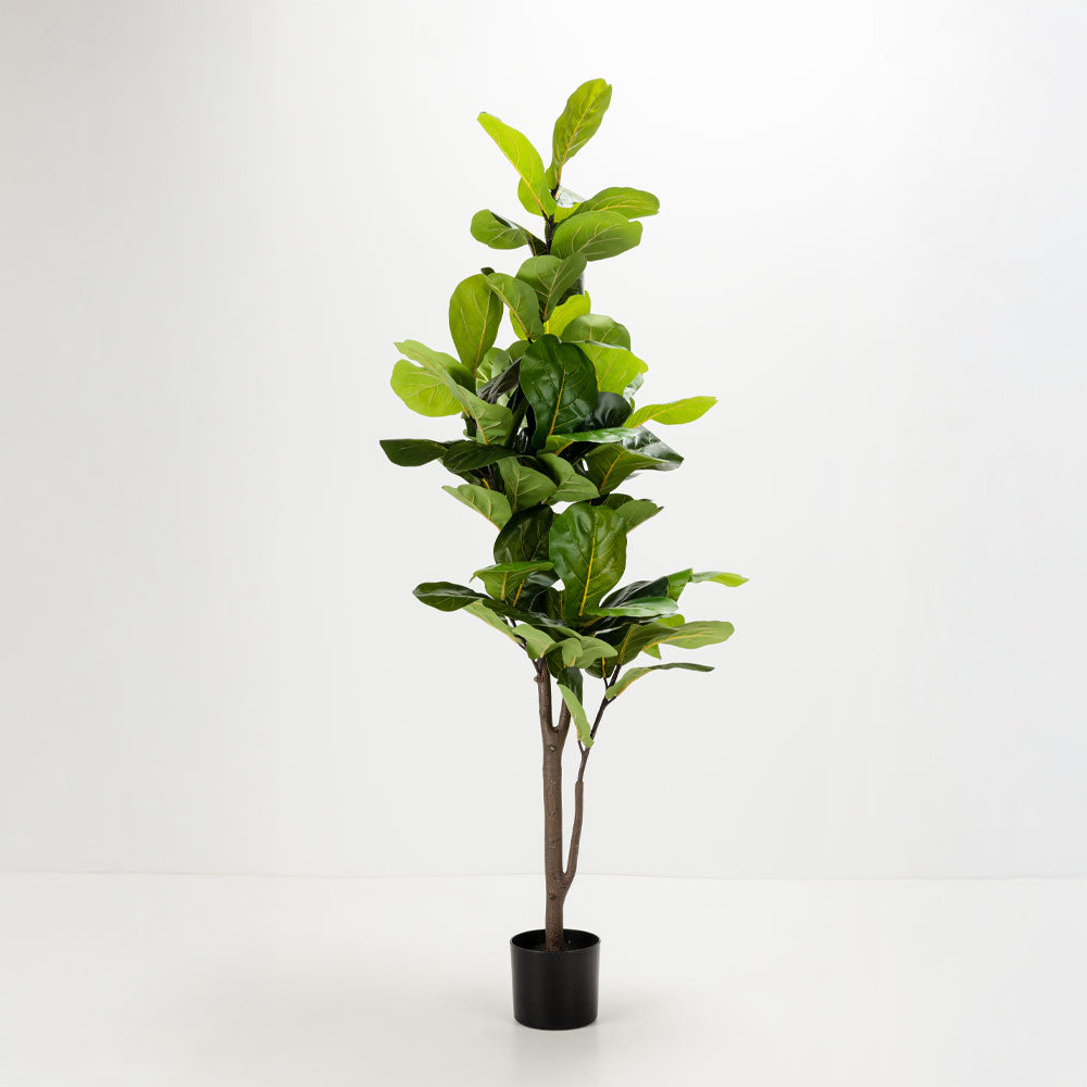 Τεχνητό φυτό Ficus υφασμάτινο