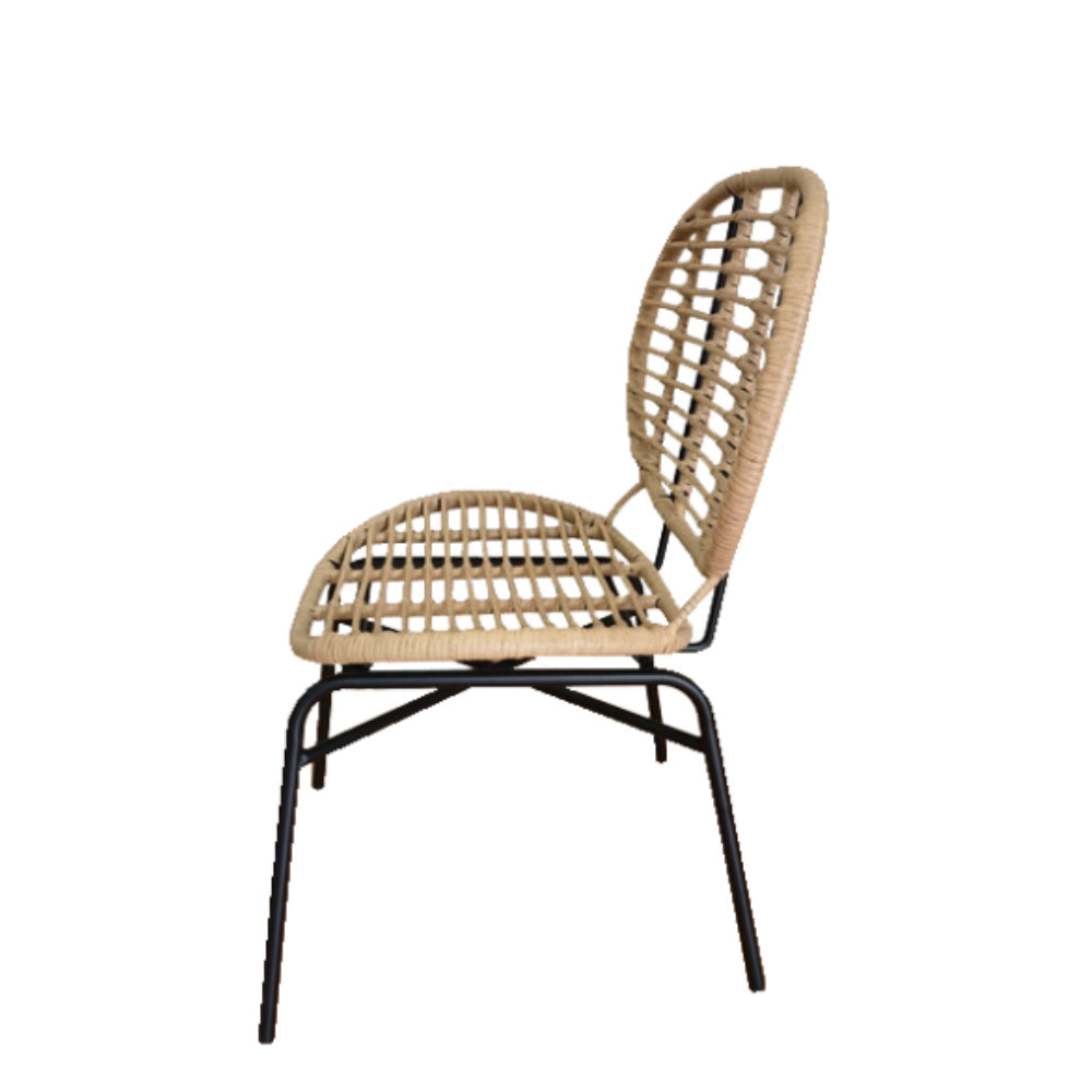 Καρέκλα κήπου Forest από rattan