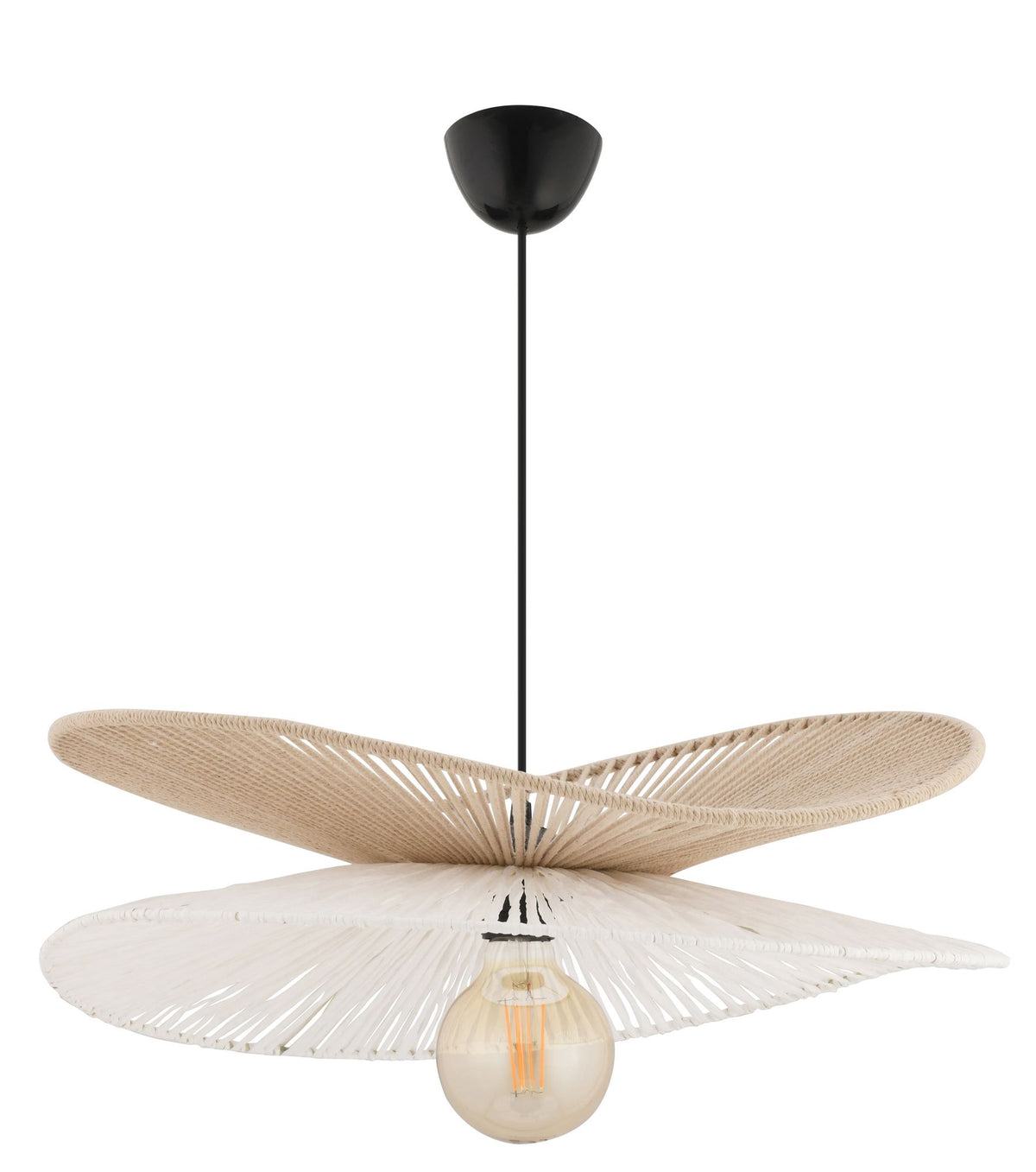 Daffodil - Beige, White