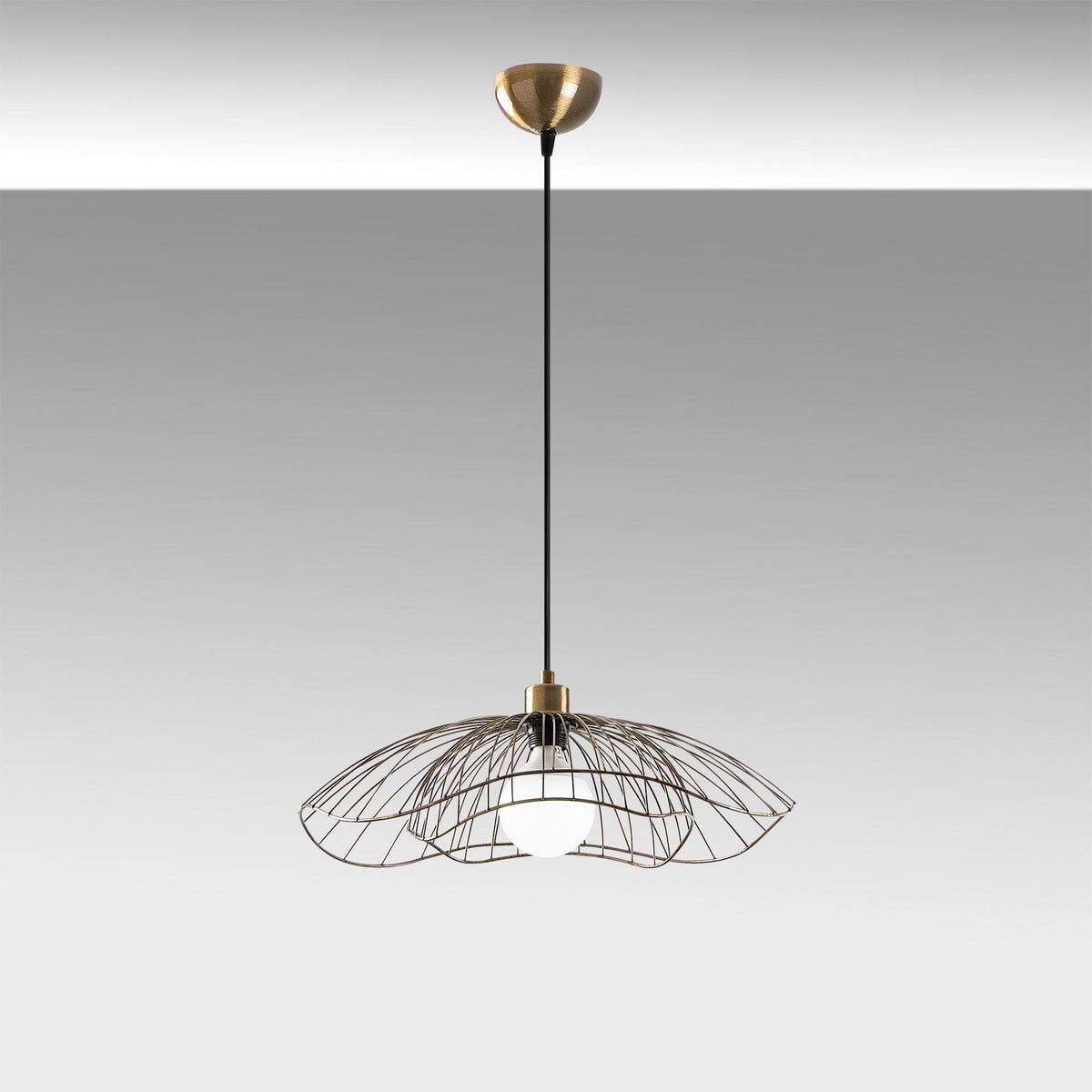 Farac - 6381