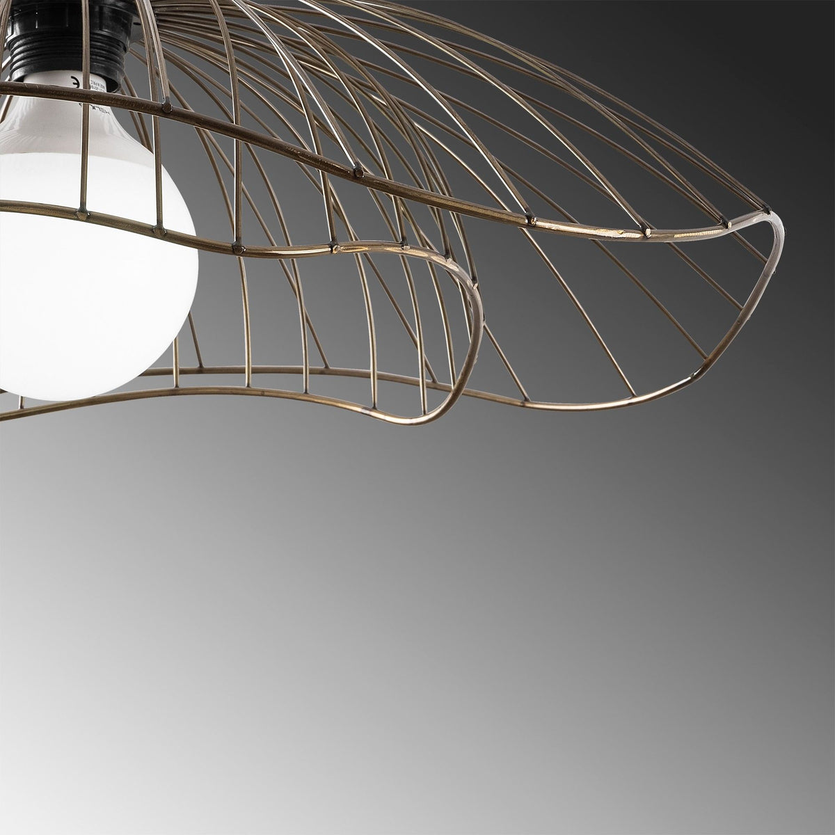 Farac - 6381