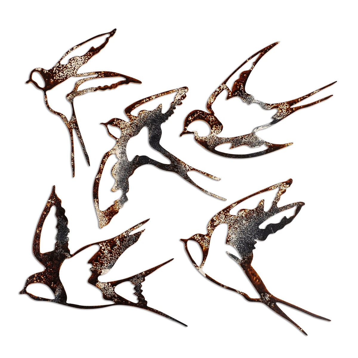 Birds-2